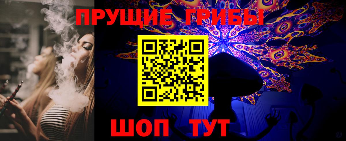 Галлюциногенные грибы Psilocybe Валуйки