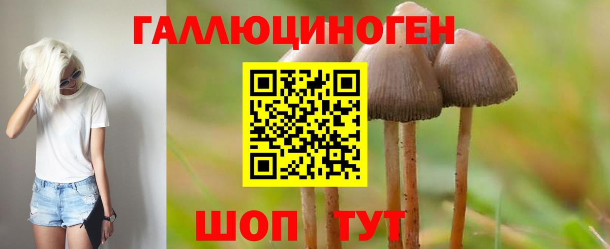 Псилоцибиновые грибы Cubensis  Галлюциногенные грибы MAGIC MUSHROOMS  Вход с VPN  Валуйки 